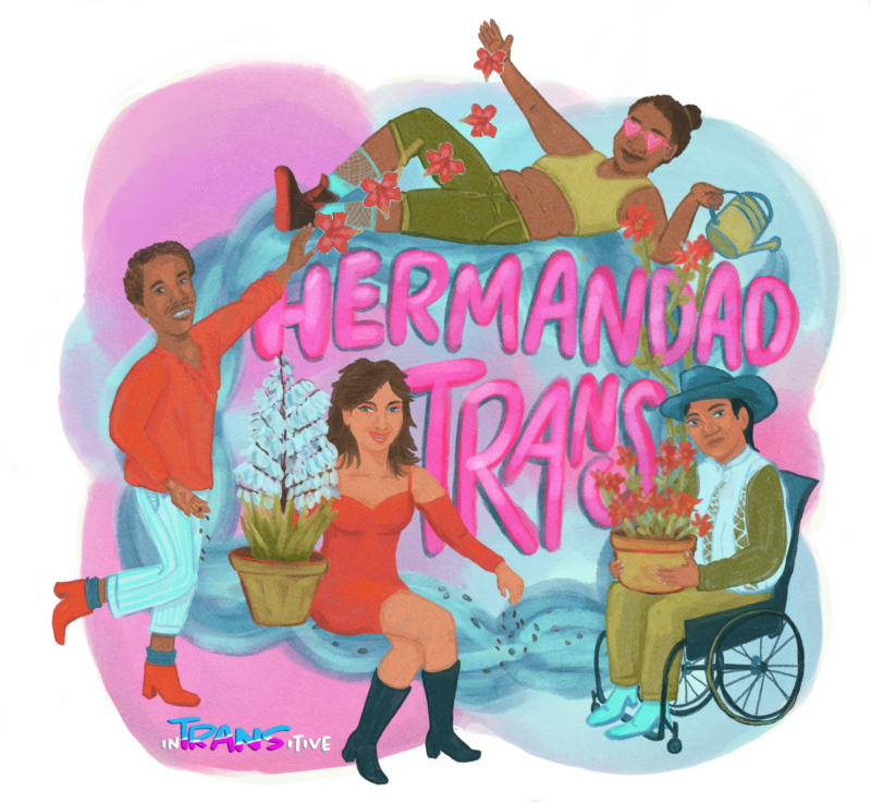 “Hermandad Trans” Commission